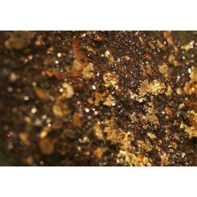 巩义铂思特高砷金矿氰化提金方法，从高砷选金尾矿中回收金的设备