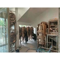 河南餐饮店啤酒设备供应厂家304不锈钢精酿啤酒设备生产厂家