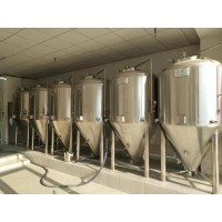 500升精酿啤酒设备发酵罐 精酿啤酒生产设备