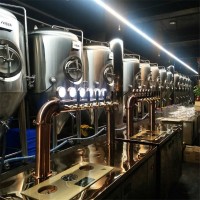 音乐餐厅鲜酿啤酒设备 000升啤酒设备发酵罐啤酒设备生产厂家