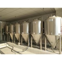 小型啤酒酿造设备价格中小型精酿啤酒设备生产厂家自动化啤酒设备