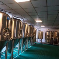 中小型啤酒设备定制厂家 日产3吨精酿啤酒设备 啤酒厂酿酒设备