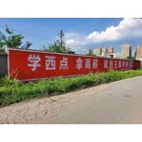 山东枣庄农村汽车刷墙广告大玩一把土味+