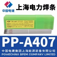 电力牌PP-A407不锈钢焊条E310-15不锈钢电焊条