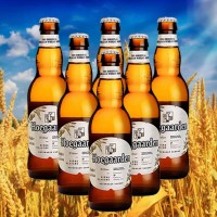 比利时进口啤酒清关所需单证和流程