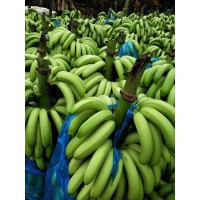 香蕉进口流程分享