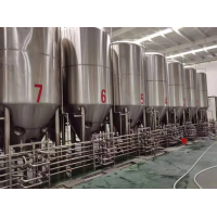 温州啤酒厂大型精酿啤酒生产设备年产5万吨啤酒设备