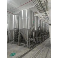 珠海啤酒厂产量40吨的大型精酿原浆啤酒设备机器