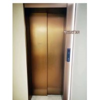 大兴别墅电梯家用电梯观光梯